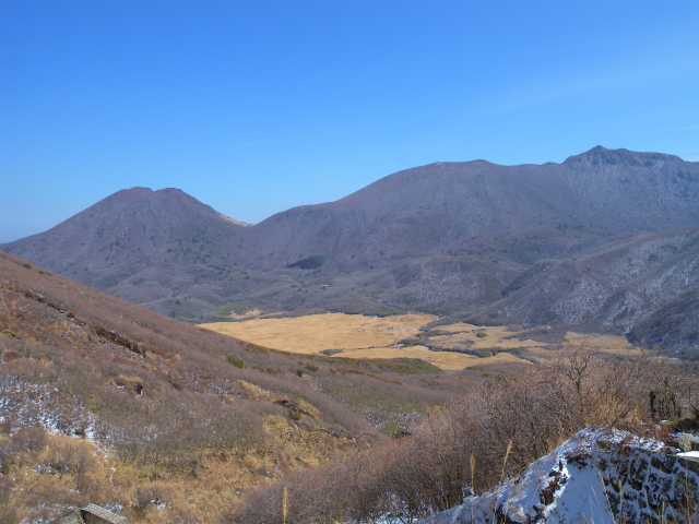 e0272335_2025531.jpg