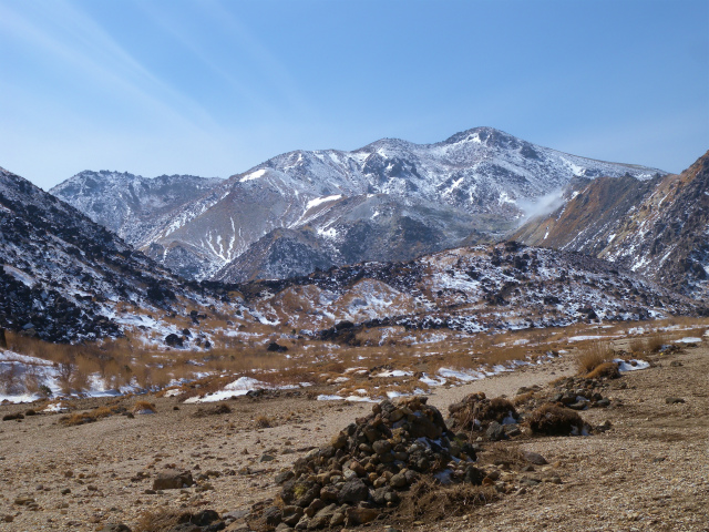 e0272335_20302364.jpg