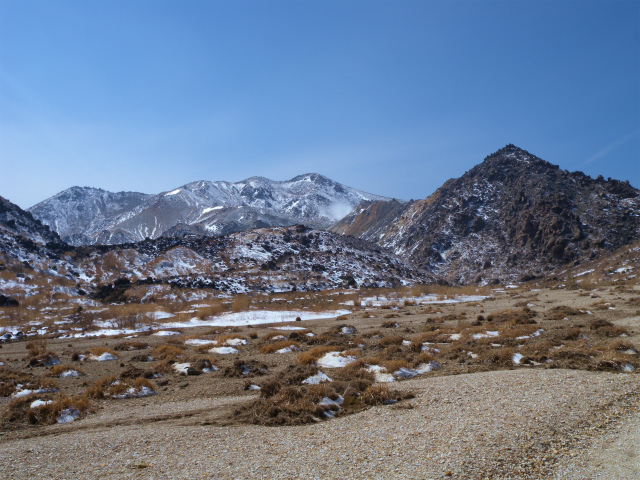 e0272335_20342825.jpg