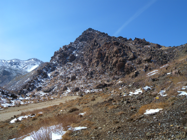 e0272335_20361025.jpg