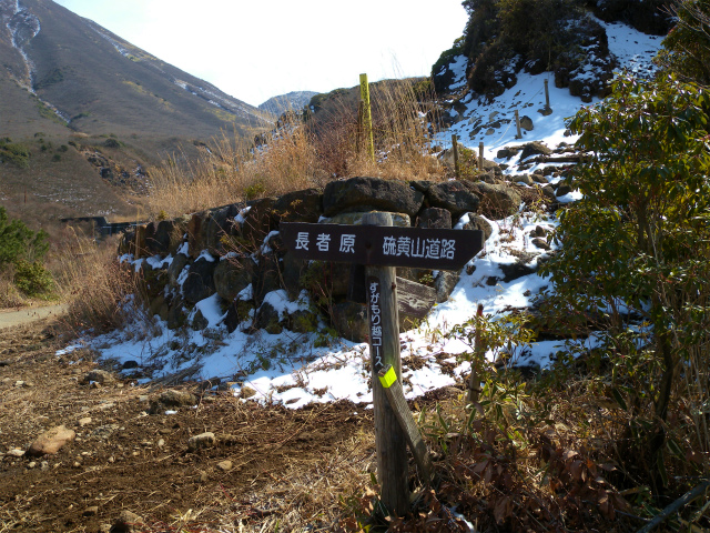 e0272335_20404155.jpg