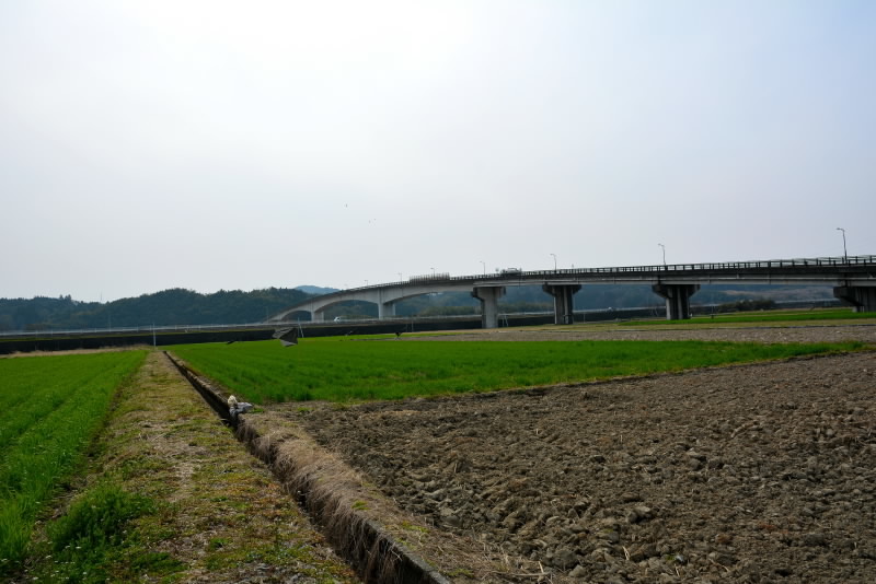e0056537_20372757.jpg