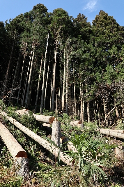 a0242438_20193555.jpg