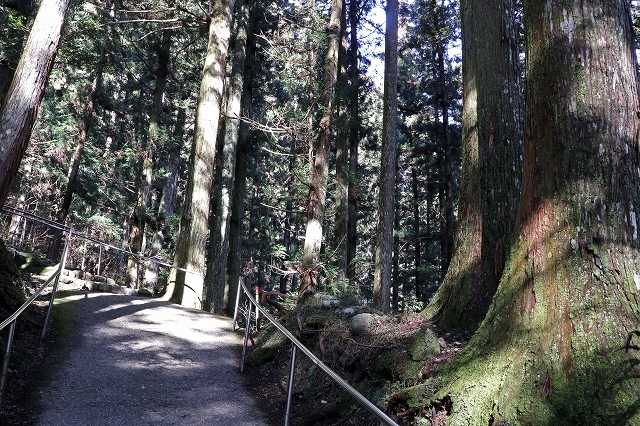 a0242438_20203816.jpg