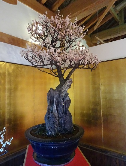 b0299042_12154700.jpg