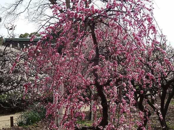 b0299042_16550264.jpg