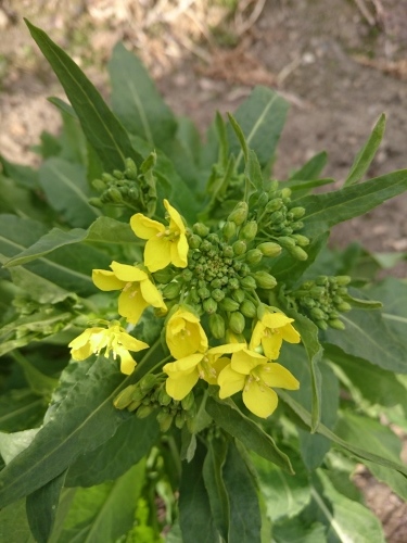 f0326946_23011159.jpg