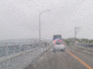 d0031853_4524374.jpg