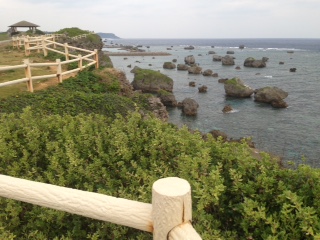 d0031853_5375128.jpg