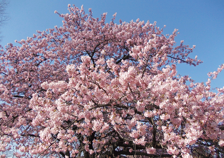 a0001354_22355854.gif