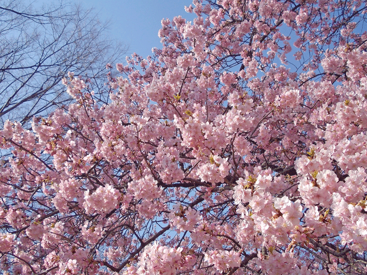 a0001354_22361134.gif