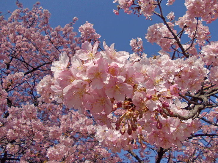 a0001354_22364216.gif