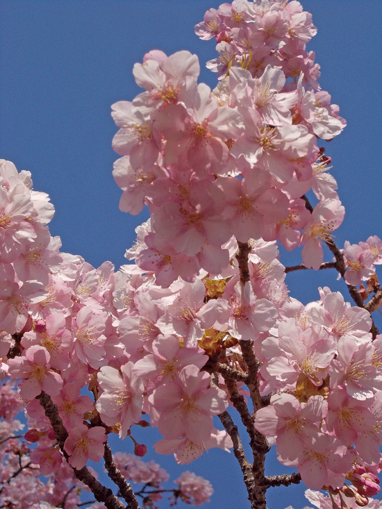 a0001354_22370993.gif