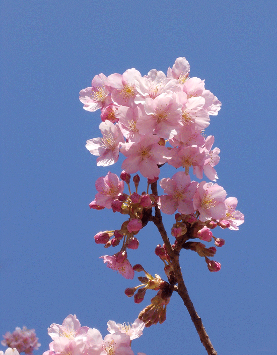 a0001354_22371938.gif