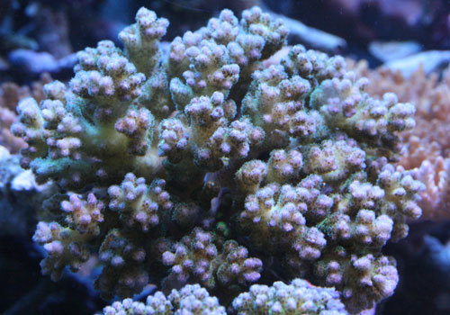 c0165758_21562593.jpg