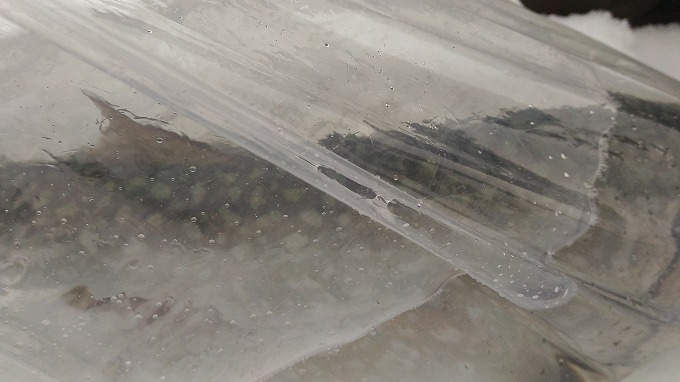 c0351262_19143810.jpg