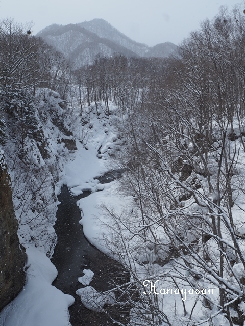 b0186563_21043409.jpg