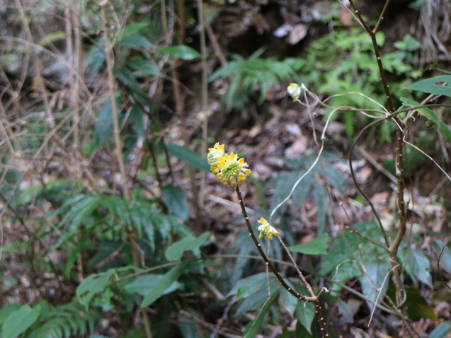 f0345263_01013907.jpg