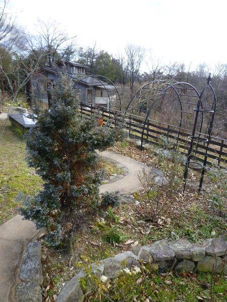 c0152767_21313872.jpg