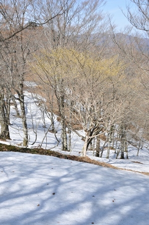 c0303868_06105443.jpg