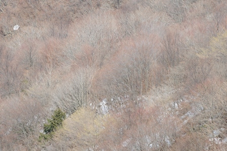 c0303868_06122920.jpg