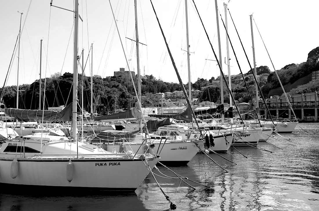 d0175768_21193364.jpg