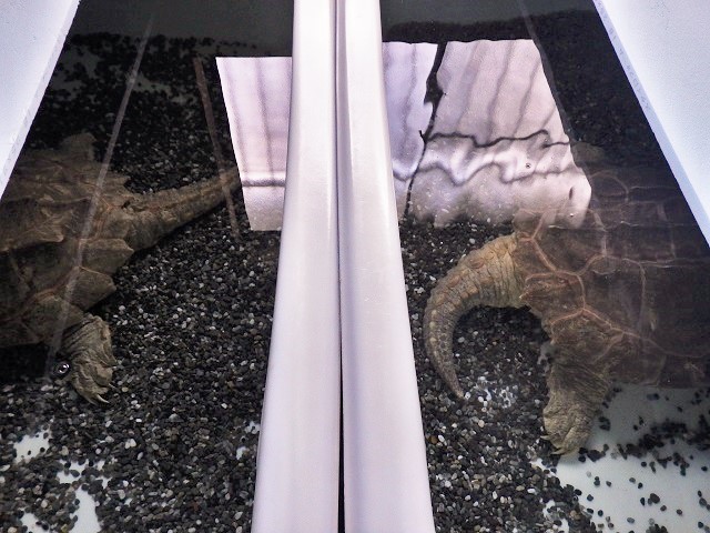 c0105569_00420486.jpg
