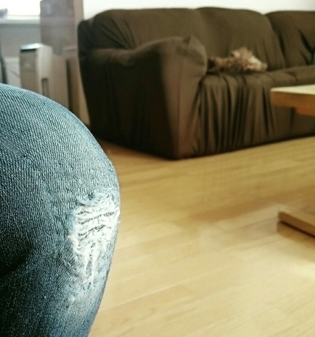 c0311170_18552117.jpg