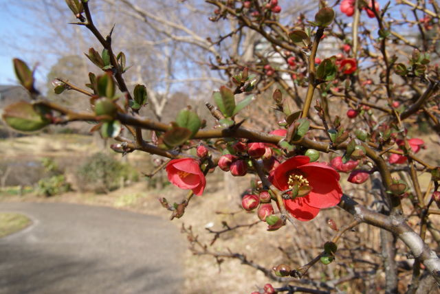 a0113874_16200959.jpg