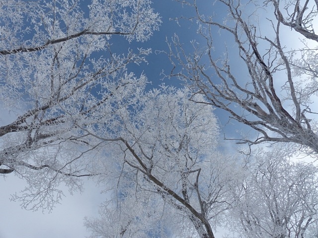 f0357487_00573937.jpg
