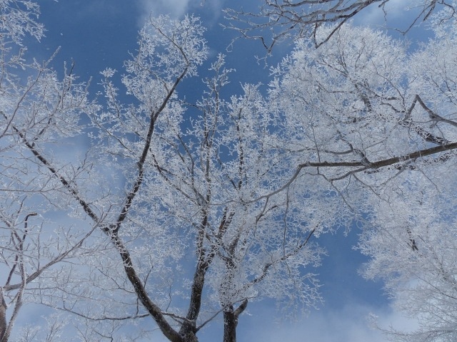 f0357487_00581765.jpg