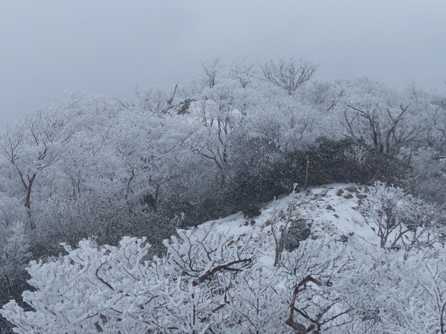 f0357487_11593722.jpg