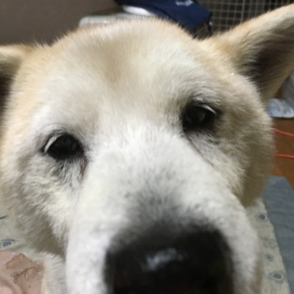 c0123890_21145133.jpeg