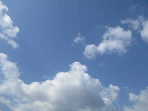 d0333091_19295114.jpg