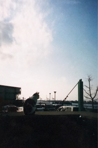 e0246691_02414771.jpg
