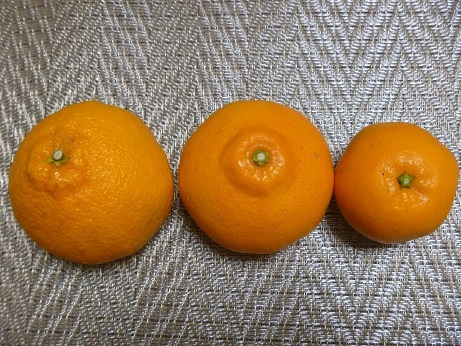 f0373098_21531502.jpg