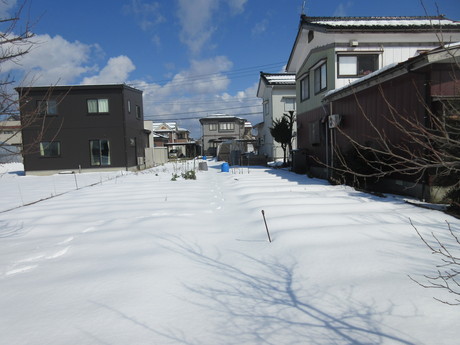 a0203003_17526100.jpg