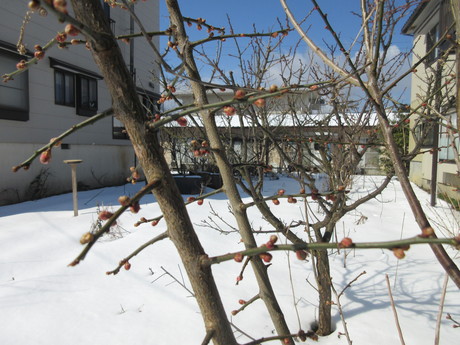 a0203003_1762418.jpg