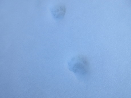 a0203003_1772014.jpg