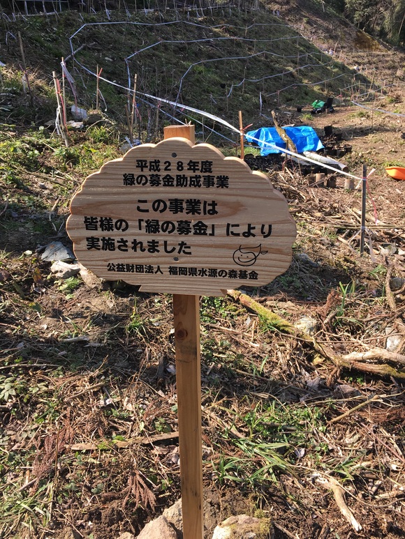 b0273309_1713124.jpg
