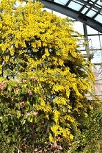 f0325309_16451569.jpg
