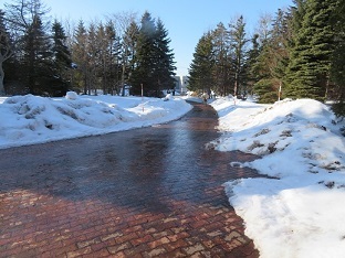 f0325309_16491906.jpg