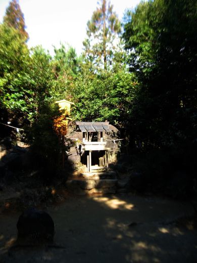 c0062511_21023948.jpg