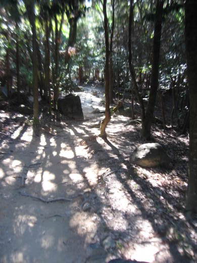 c0062511_21165263.jpg