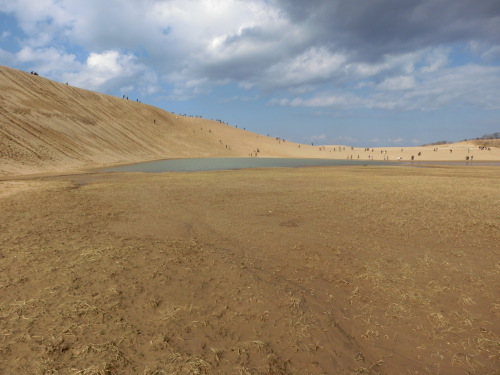 b0181818_19431014.jpg