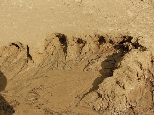 b0181818_19431773.jpg