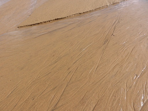 b0181818_19432117.jpg
