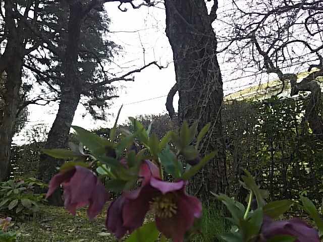 f0235318_10185352.jpg