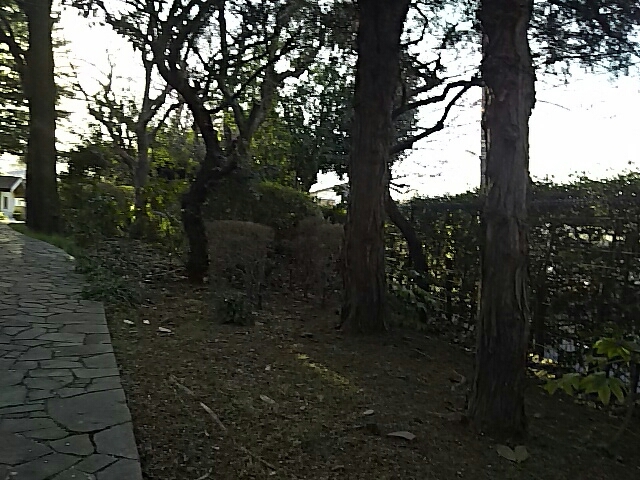 f0235318_10214237.jpg