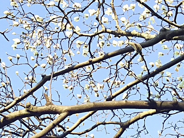 f0235318_10214583.jpg
